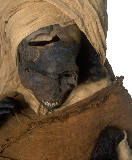 a mummy partially unwrapped from the cloth around it, with the black skull partially visible. there is a massive tear/hole on top of the skull
