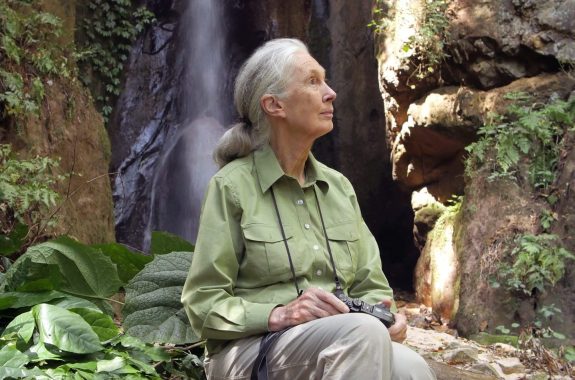 an older woman in a green shirt and binoculars sits in a rainforest environment looking out pensively