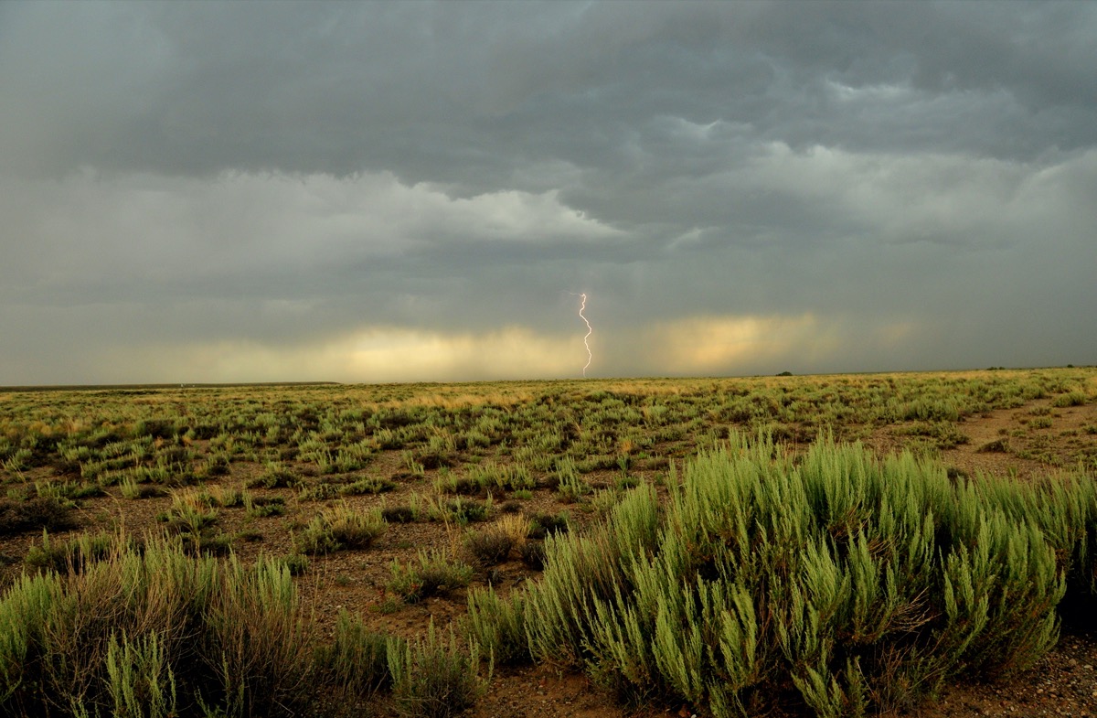 a wide open field with patches of green sagebrush under a cloudy, stormy sky. in the middle is a strike of lightning