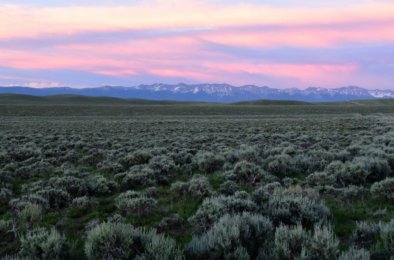 a vast vista covered in light green short shrubs under a purple sunset and mountain range in the background