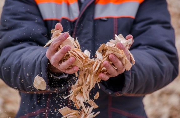 a person holding and letting woodchips fall from their hands