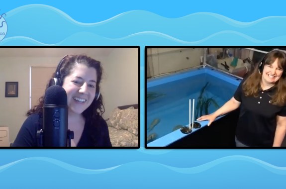 a screenshot of a zoom recording of two white women, one at a microphone laughing, and the other smiling with a large water tank behind her filled with small squids
