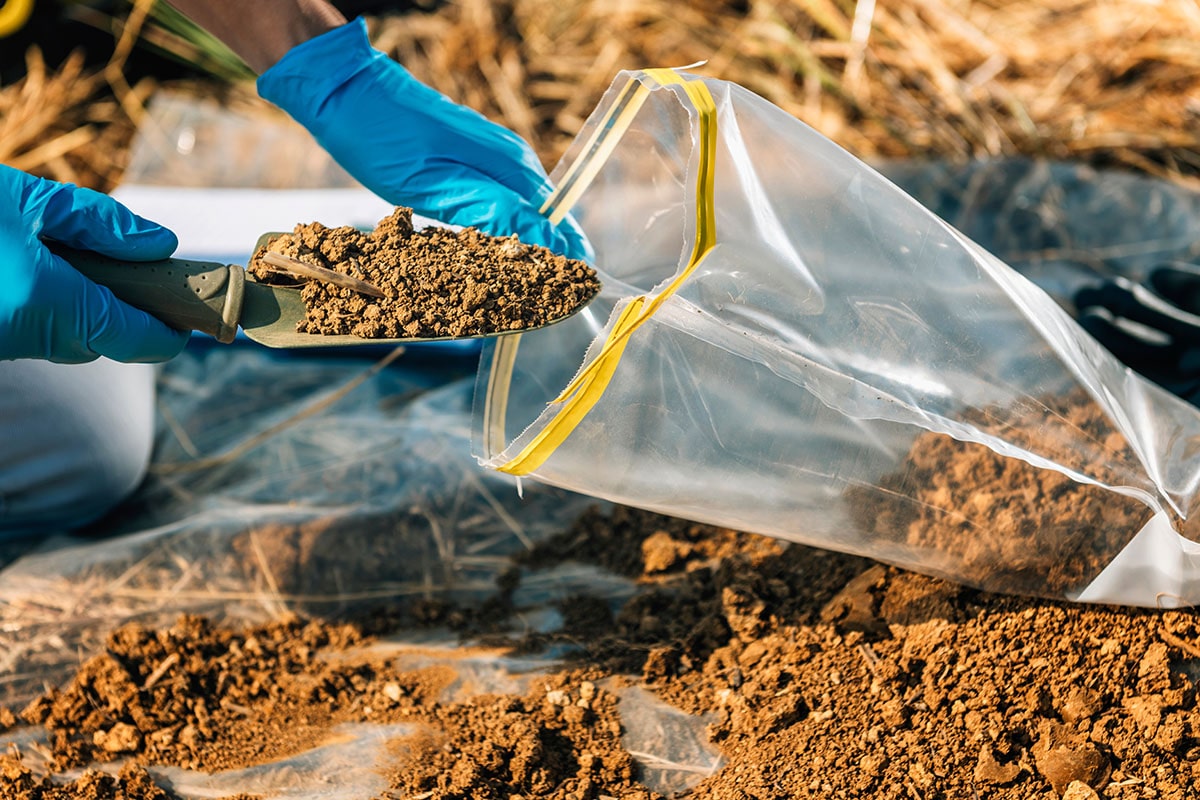 Photo of hands with nitrile gloves putting a small scoop of dirt into a plastic bag to use for soil analysis.