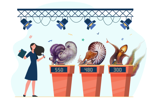 an illustration of a game show stage, with three podiums with an argonaut, nautilus, and blanket squid behind them, and a white woman host to their left