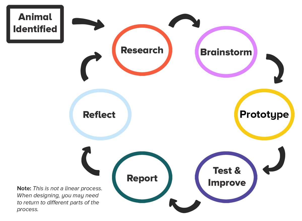 stages of the engineering and design process: research, brainstorm, prototype, test and improve, repeat, reflect