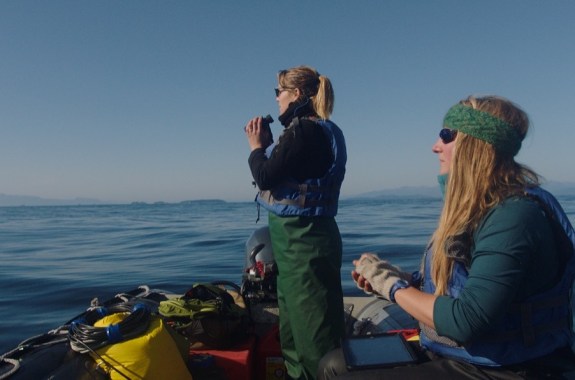 two women scientists on a boat holding binoculars looking out for whales on the sea