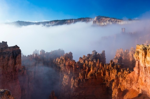 a layer of fog partially obscuring a majestic canyon