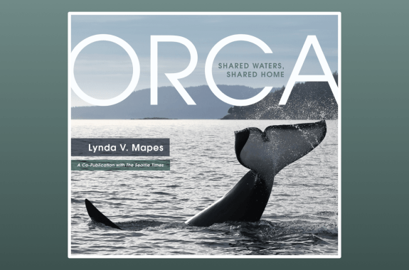 a book cover with an orca whale tail above the water as it prepares to dive down. the text reads 'orca: shared waters, shared home, linda v. mapes, a copublication with the seattle times'