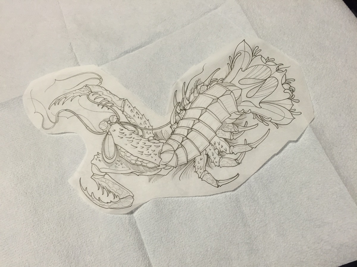 a black and white line illustration of a mantis shrimp