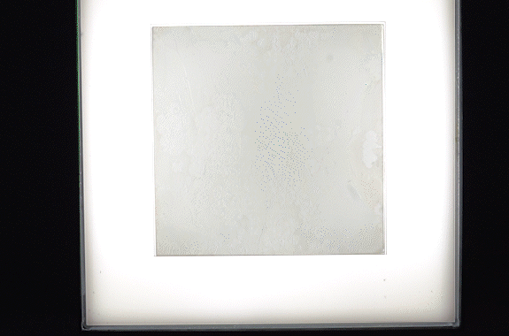 A polarizing lens reveals wondrous crystals