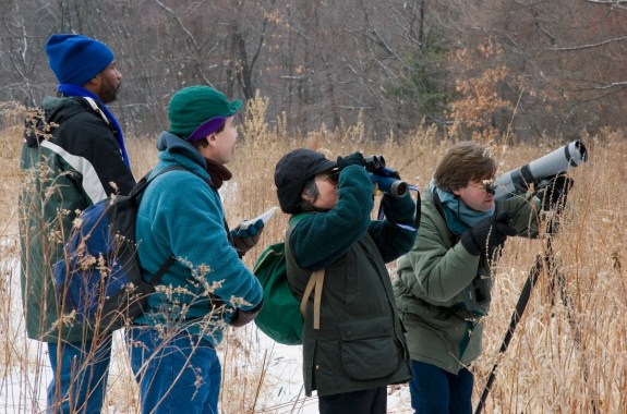 How Christmas Bird Counts Help Shape Science
