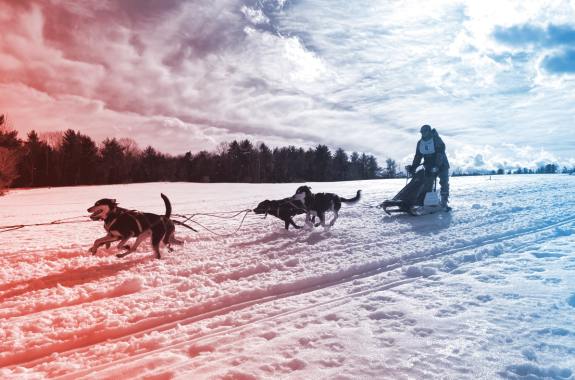 Climate Change Ruins The World Championship Sled Dog Derby