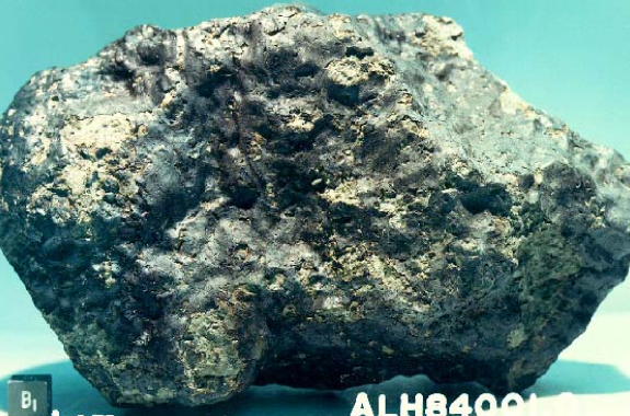 a porous meteorite that's mostly dark grey, but has some tiny shiny spots