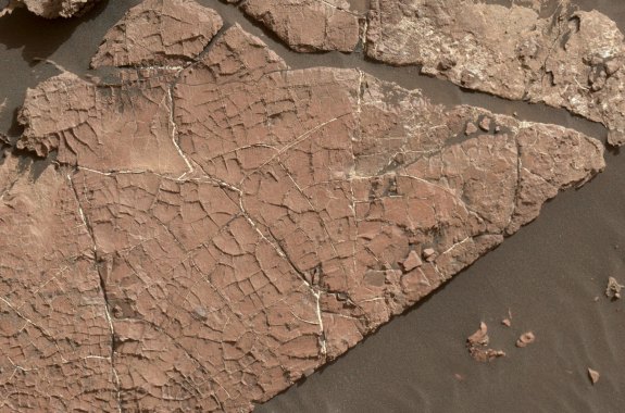 a photo taken by the curious rover shows a dusty red slab of rock with a network of cracks in it, looking like a dried up riverbed