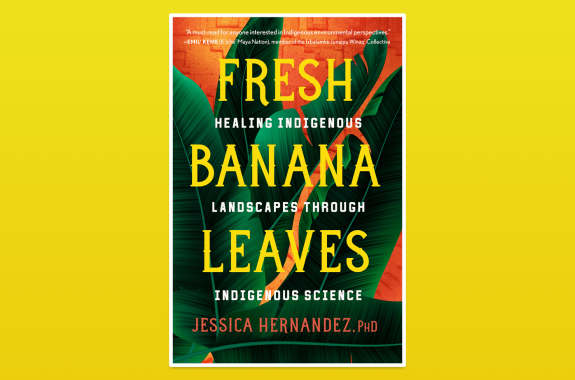 a book cover of large dark green tropical banana leaves over an orange background. the text reads 'Fresh Banana Leaves: Healing Indigenous Landscapes through Indigenous Science by jessica hernandez, phd; “a must-read for anyone interested in indigenous environmental perspectives.” -emil’ keme (k’iche’ maya nation), member of the ixbalamke junajpu winaq’ collective'