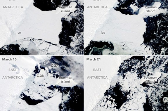 four satellite images images, dated february 22, march 12, march 16, and march 21 show the disintegration of an ice shelf. it goes from a solid to developing many cracks and splits apart revealing dark ocean below