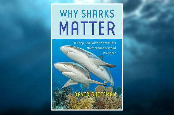 a book cover of two sharks swimming with some coral beneath them, with text 'Why Sharks Matter: A Deep Dive with the World's Most Misunderstood Predator; by david shiffman'