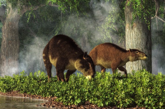 A 3-D rendering of two extinct, furry animals with hooves eating lush green vegetation in an ancient forest.