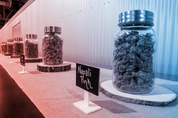 a shelf with fix large glass mason jars filled with cannabis flower