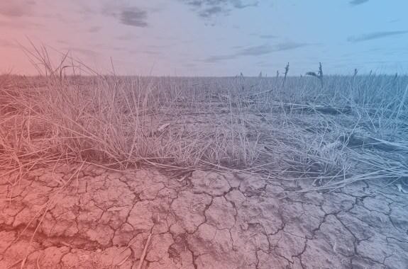 cracked earth in Kansas where a wheat field should be.