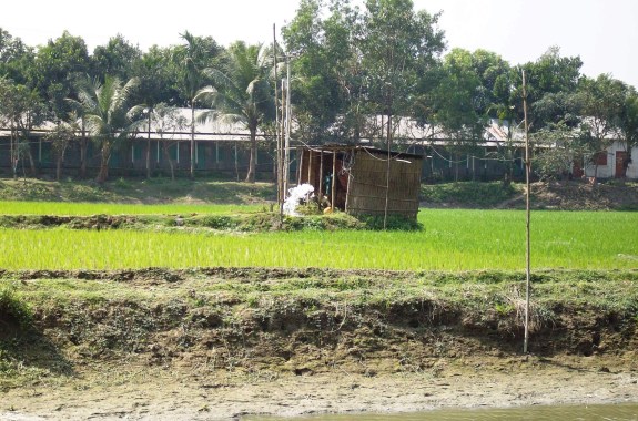 a shed in a field with houses in the background constructed out of reeds containing metal pipes and some of electric device. steam or smoke eminates from one of the pipes