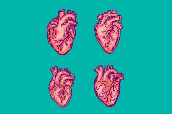 four illustrated anatomically correct hearts arranged with different sides visible on a turquoise background