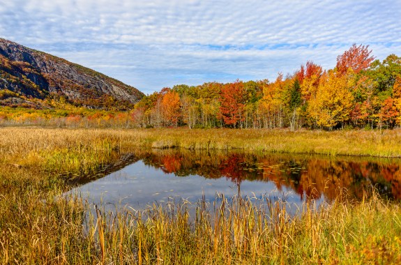 A small pond sits in the foreground of a wide shot of a multicolored mountain range. The trees are orange, green, yellow, and brown.