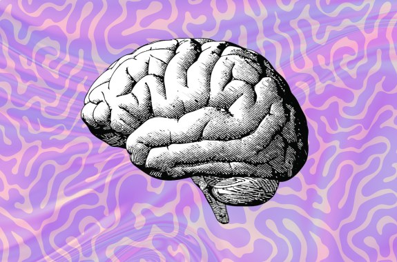 A brain illustration over a wavy purple background