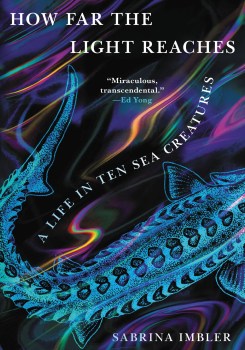 Cover of "How Far The Light Reaches" Dark ocean colors with glimmering fish