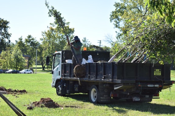 How Redlining Shaped Baltimore’s Tree Canopy