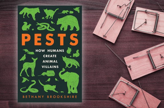 Animal Pests Are All About Perception