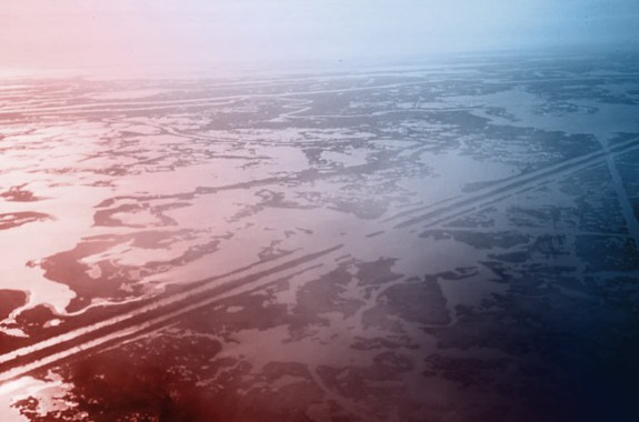 A bird's eye view of Mississippi river marshes