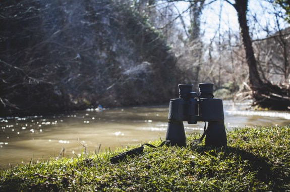 A pair of binoculars rests on a mossy rock next to a stream