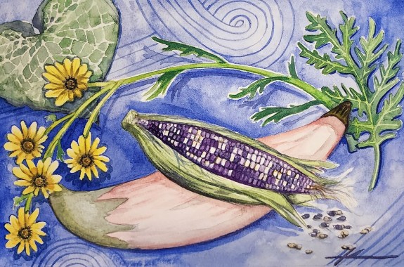 a watercolor illustration of Cherokee heirloom plants distributed by the Cherokee nation's seedbank
