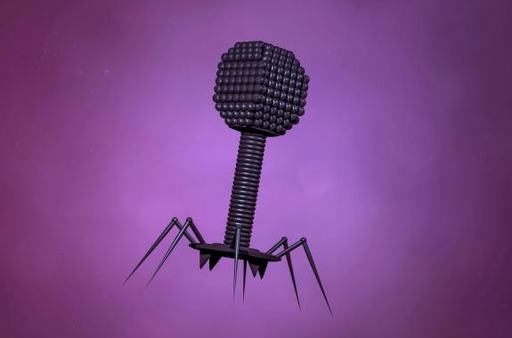3d art illustration of a bacteriophage, which has a bulbous capsule atop a thin stick with leg-like structures beneath