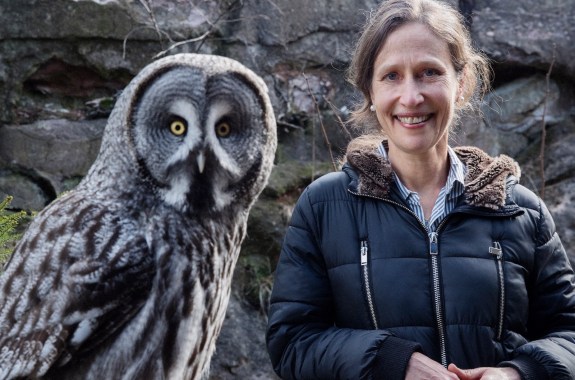 a gorgeous very fully feathered gray owl standing on a wooden fence. to the right a woman in a black puffer jacket smiles