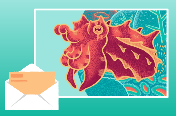 Sign Up For Our 2023 Cephalopod Of The Day Newsletter!