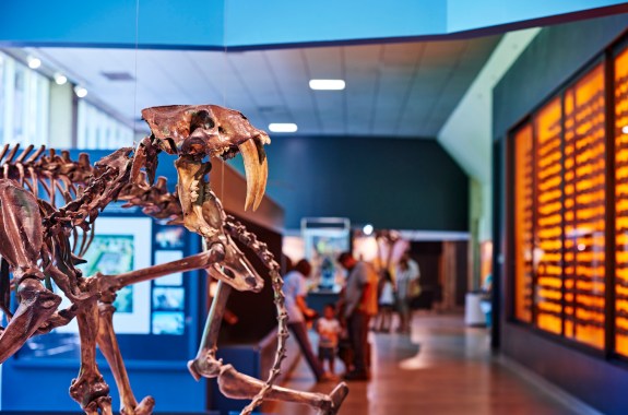 How Early Humans May Have Transformed L.A.’s Landscape Forever