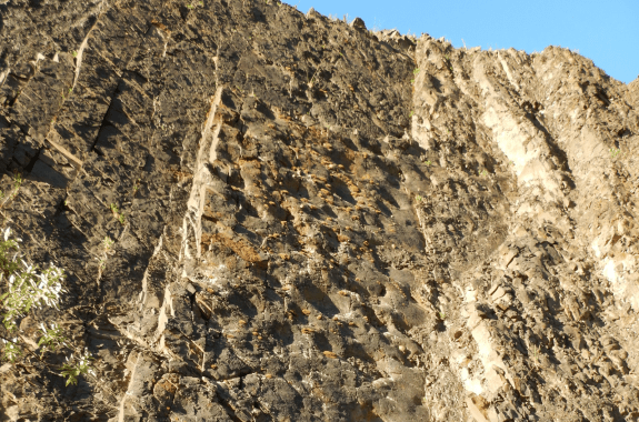 A tall, sloped wall of rock with thousands of round depressions in it.