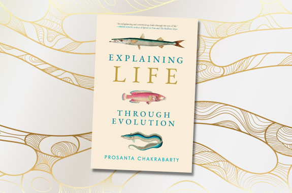 Evolution: The Roots Of Our ‘Tree Of Life’