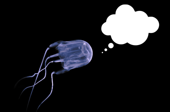 A box jellyfish with a speech bubble coming from its head.