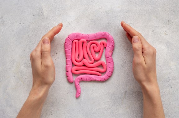 A clay sculpture of a human colon with two hands surrounding it.