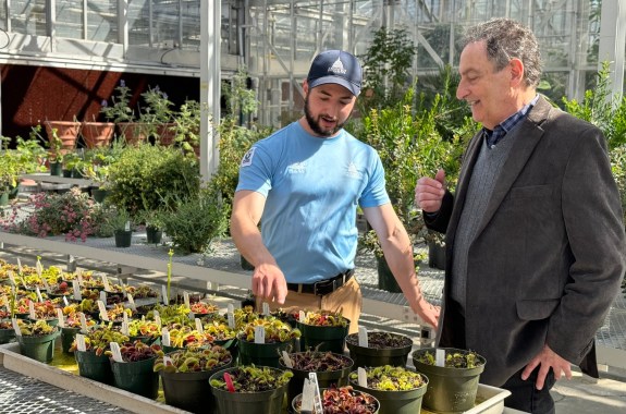 A man wearing a baseball cap points at pots of venus flytrap plants inside a greenhouse. Another man looks on, remarking on them.