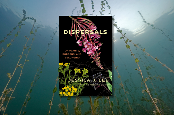 Dispersals book cover overlaid on an image of pondweeds