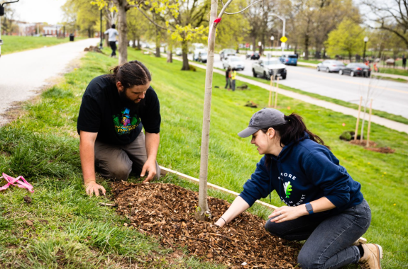 Two people planting a tree in an urban area