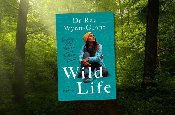 Learning To Study Black Bears In Their Natural Habitat