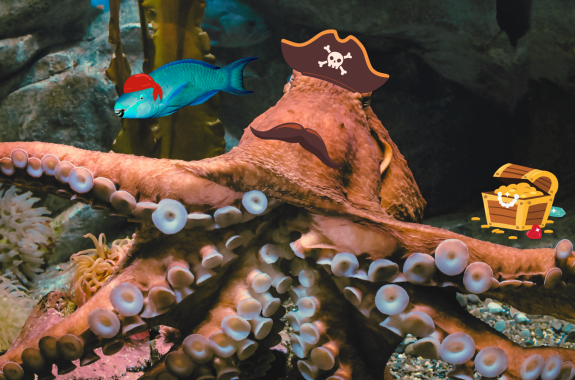 A rust colored octopus wearing a pirates hat and mustache. To its left is a parrot fish wearing a red headscarf. To its right is a chest of gold.