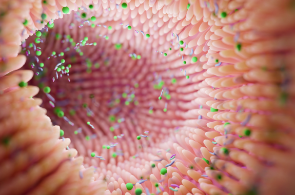 A textured, bumpy inside of a tube with tiny microorganisms inside