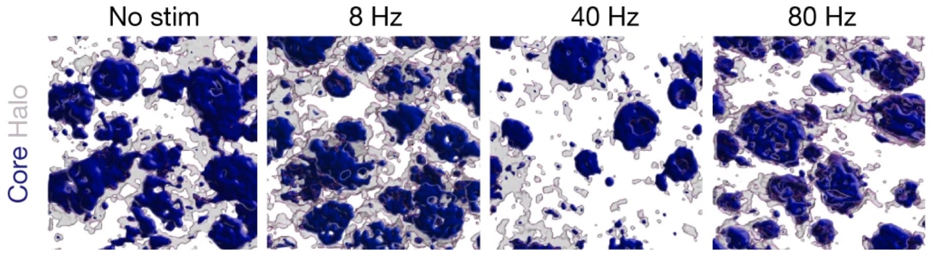 Four squares that have blue splotches in them. The 3rd square, labeled with 40Hz frequency, has notably fewer blue splotches