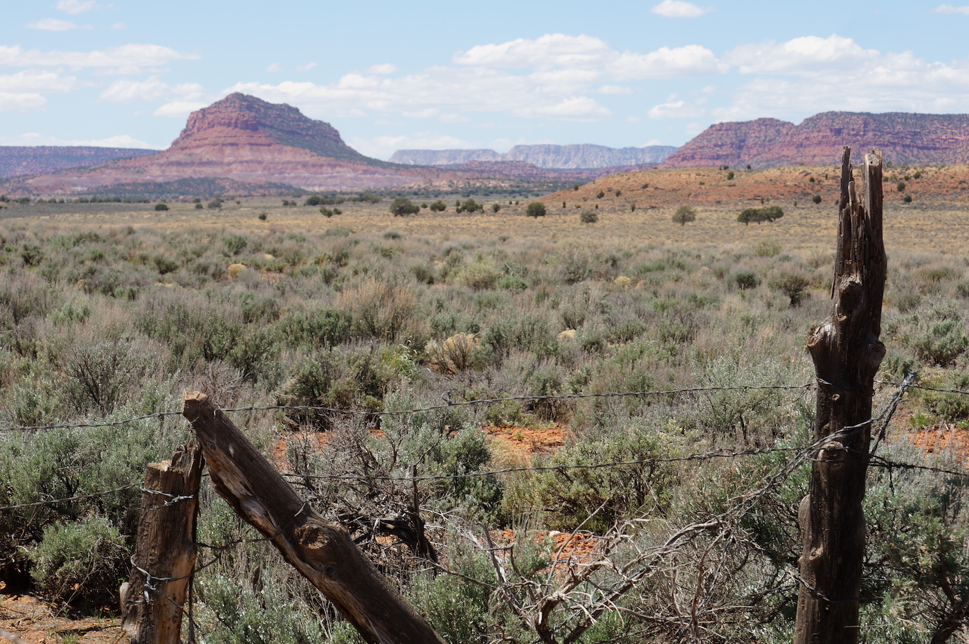 A landscape with mountains in the background.